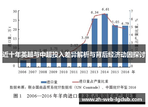 近十年英超与中超投入差异解析与背后经济动因探讨